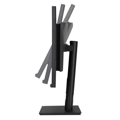 ASUS ProArt PA328QV - 31.5 Zoll WQHD Professioneller Monitor - 16:9 IPS, 2560x1440 - ergonomisch, Pivot, Calman, hohe Farbtreue, HDR 10 - DisplayPort, HDMI, USB-Hub, schwarz