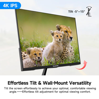 Gawfolk 4K IPS 27 Zoll Monitor 60Hz, PC Bildschirm UHD 3840 x 2160p Rahmenloses Computerbildschirm für Home Office Business, DP, HDMI, VESA 75 * 75MM